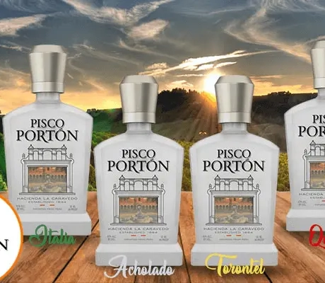 Pisco Porton Mosto Verde Italia-2