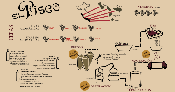 Pisco: History and Production of an emblematic Peruvian drink